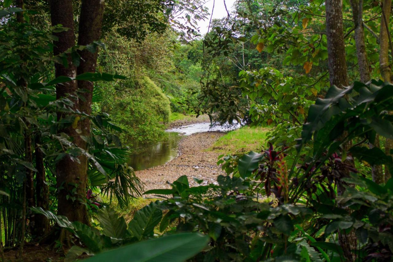 Eden Organic Farm & Bungalows La Fortuna Bagian luar foto